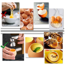 Eggshell Opener