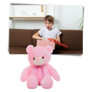 Plush Teddy Bear Night Light