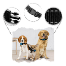 Anti bark dog collar
