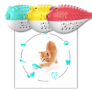 Fish shaped refillable cat toothbrush