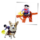 Cowboy Dog Costume