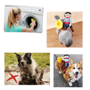 Cowboy Dog Costume
