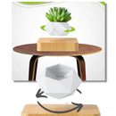Levitating air pot plant