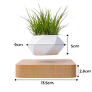 Levitating air pot plant