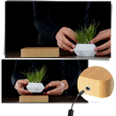 Levitating air pot plant