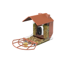 AI Solar Bird Feeder