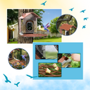 AI Solar Bird Feeder
