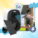 AI Solar Bird Feeder