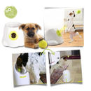 Automatic Dog Ball Launcher