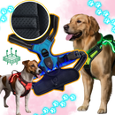 Blink LED Light Dog Harness