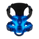Blink LED Light Dog Harness