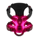 Blink LED Light Dog Harness