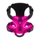 Blink LED Light Dog Harness
