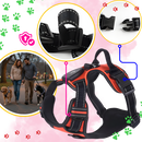 Blink LED Light Dog Harness