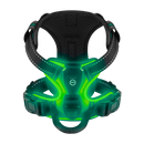 Blink LED Light Dog Harness