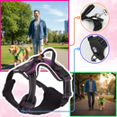 Blink LED Light Dog Harness