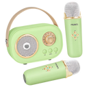 Bluetooth Dual Mic Kids Mini Karaoke