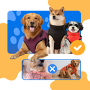 Cozy Dog Harness Winter Jacket