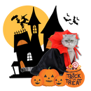 Cute Dracula Halloween Pet Costume