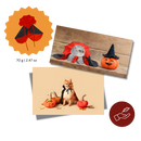 Cute Dracula Halloween Pet Costume