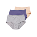 High Waisted Incontinence Panty