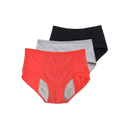 High Waisted Incontinence Panty