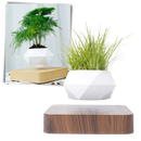 Levitating air pot plant