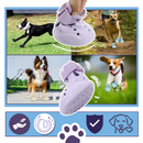 Paw Guard Boots