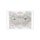 Wellness Cloth Web Chart
